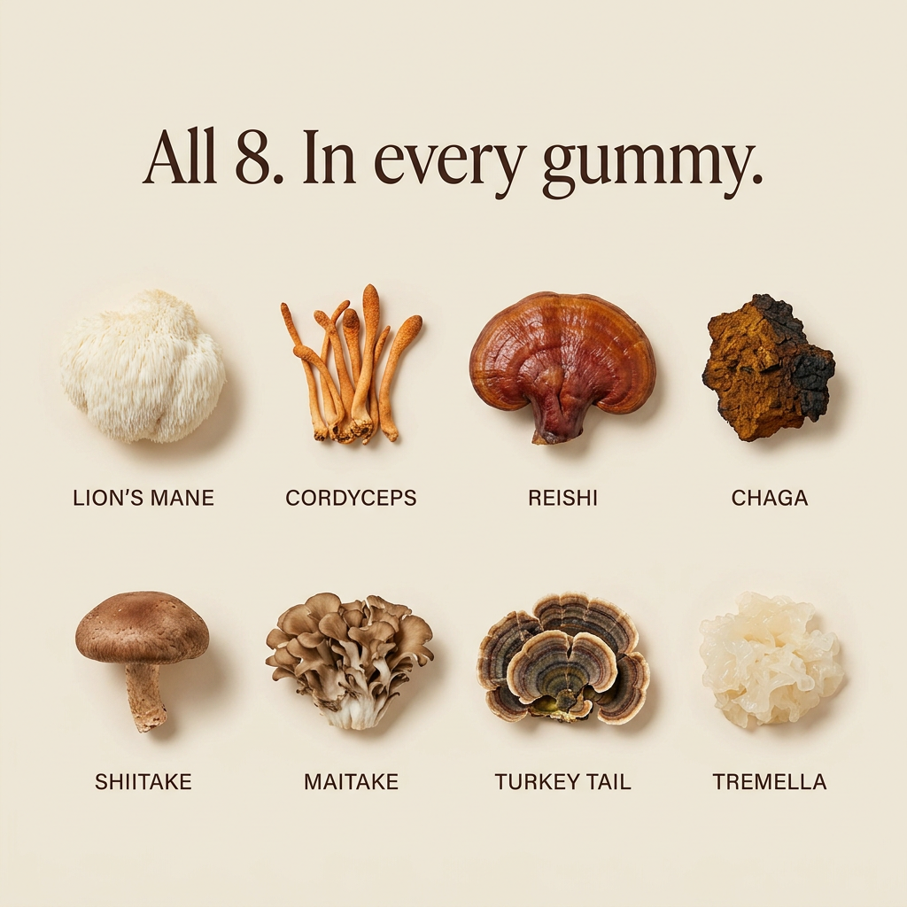 Mushroom Gummies Gut Support